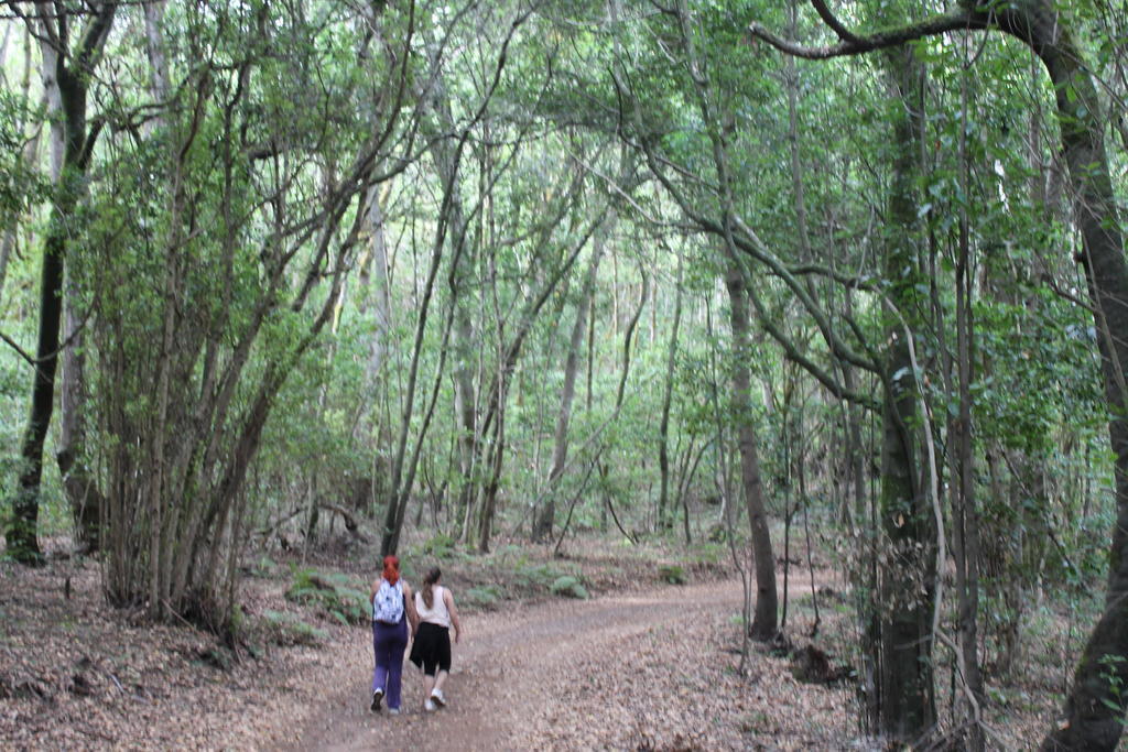Agulo Casa Rural El Rincon De Antonia מראה חיצוני תמונה