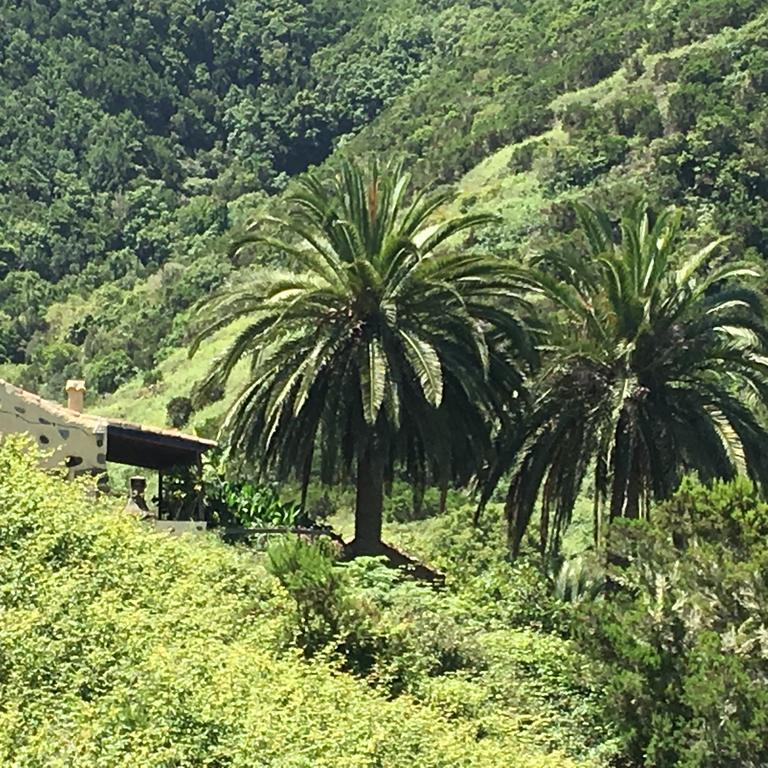 Agulo Casa Rural El Rincon De Antonia מראה חיצוני תמונה