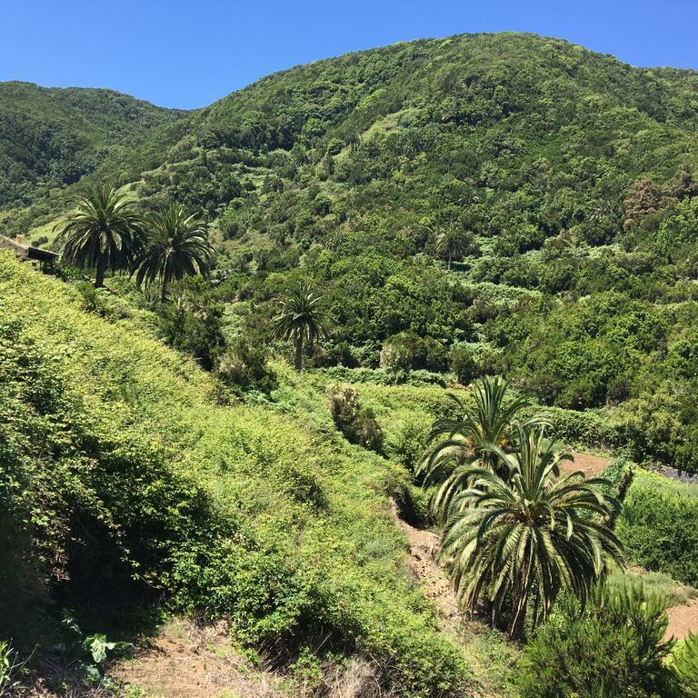 Agulo Casa Rural El Rincon De Antonia מראה חיצוני תמונה