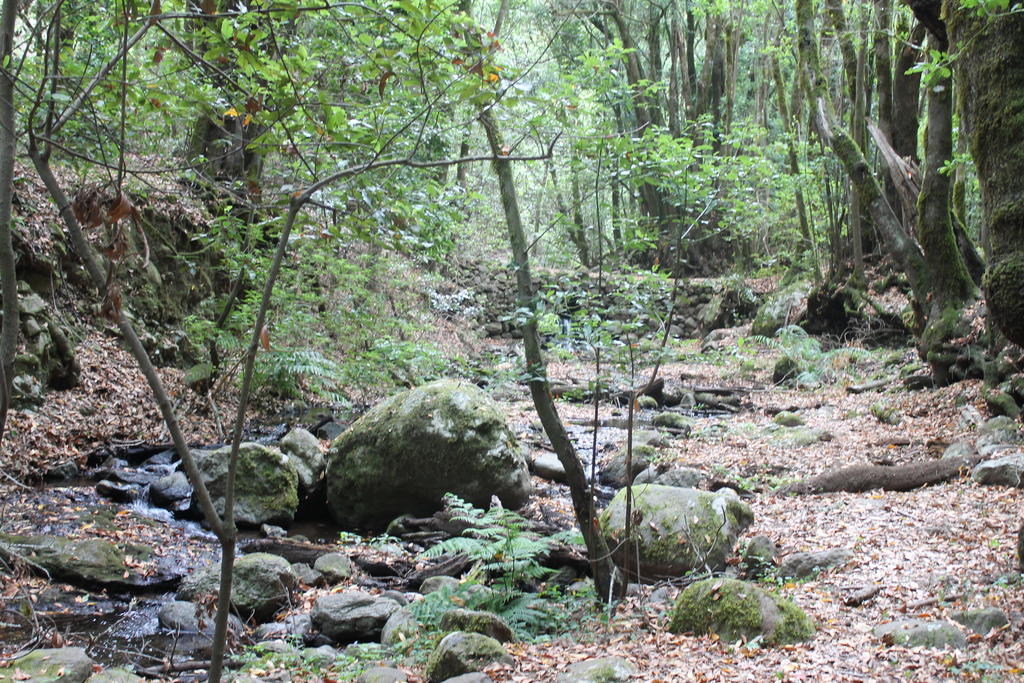 Agulo Casa Rural El Rincon De Antonia מראה חיצוני תמונה